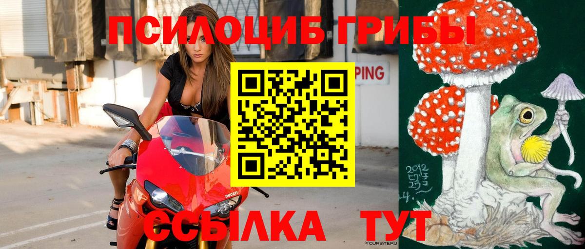 Псилоцибиновые грибы мицелий Свободный