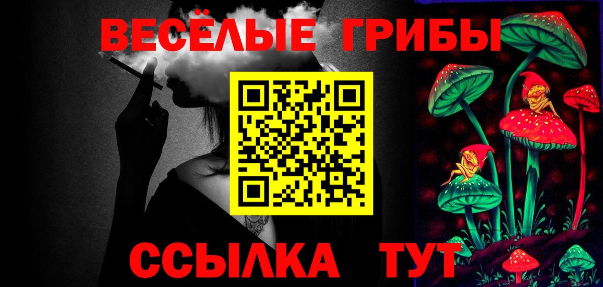 Псилоцибиновые грибы GOLDEN TEACHER  Вход с VPN  Свободный 